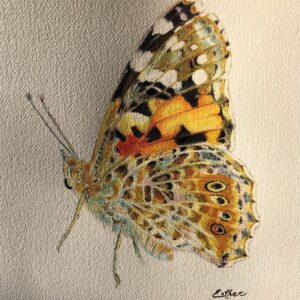 Tenderness - Imagen 3
